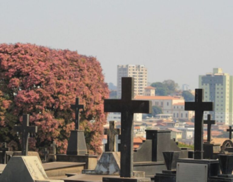 Cemitérios municipais terão esquema especial para visitação