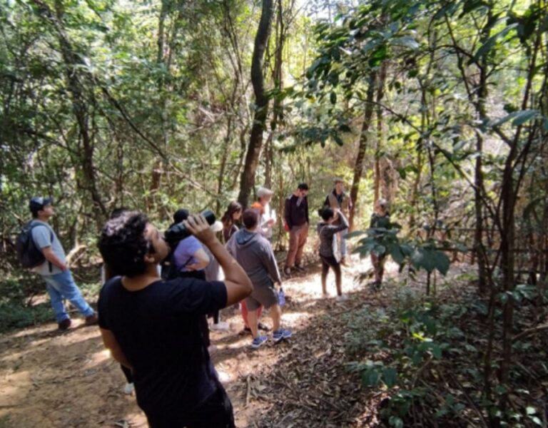 Trilha educativa no Parque do Caiçara une lazer e natureza