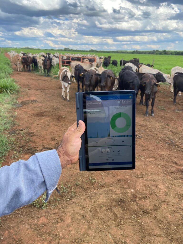 Uso de tecnologia organiza a rotina e aumenta o lucro de fazendas