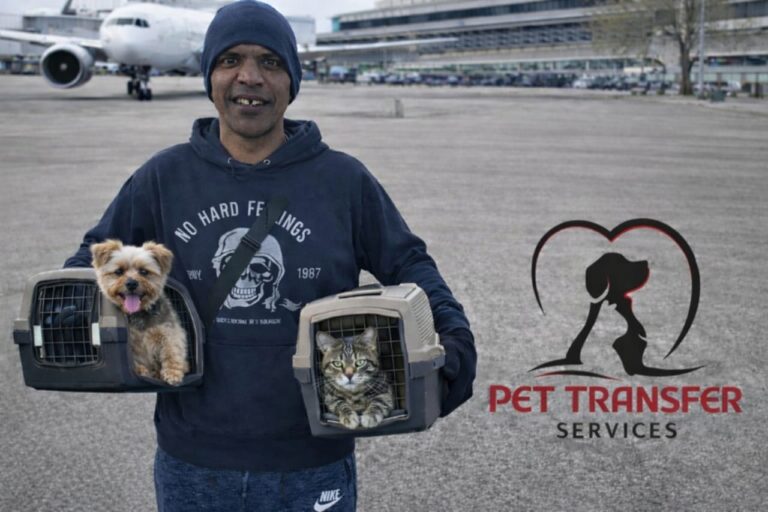 Quando o transporte de pets vira missão, cuidado e excelência