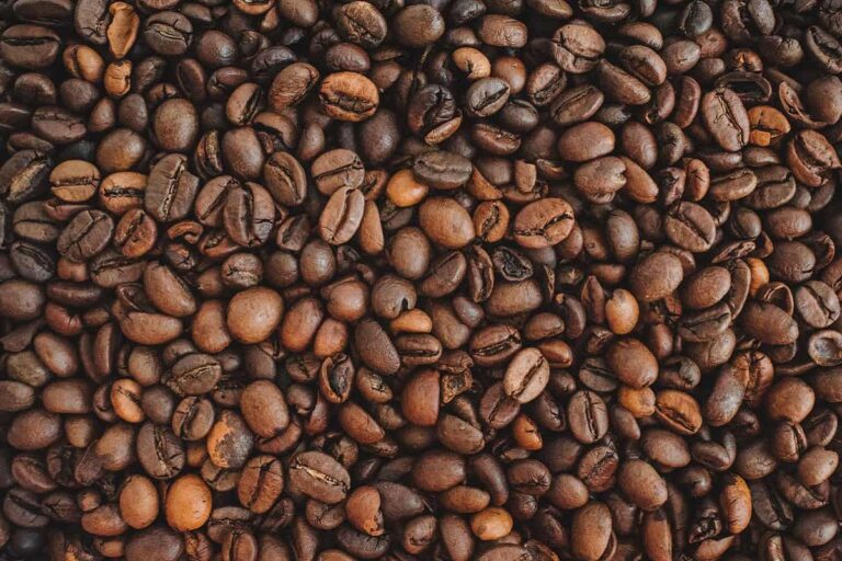 Compras na loja on-line da Utam ganham café de presente no Dia do Consumidor