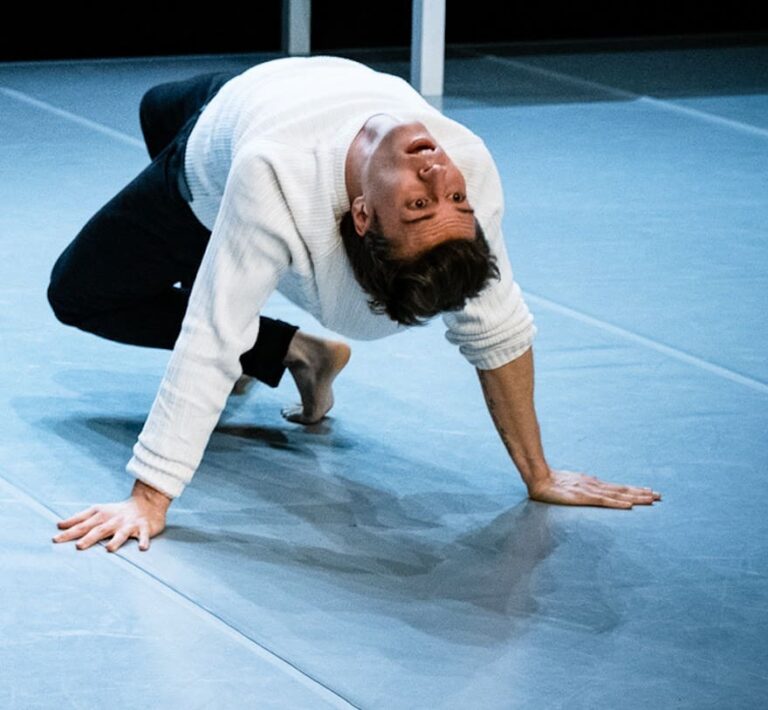 Workshop internacional de dança belga no Rio