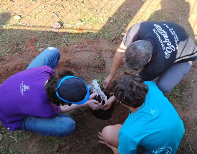 Missão Solidária Marista mobiliza 1,5 mil estudantes