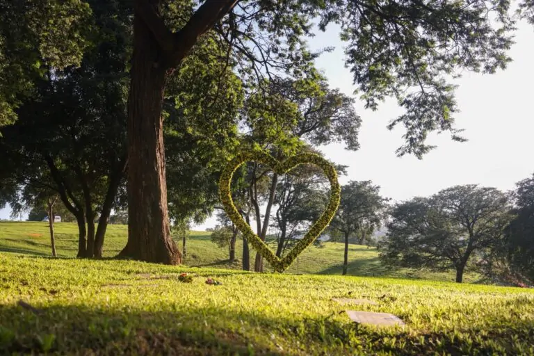 Áreas verdes transformam a experiência do luto e acolhem