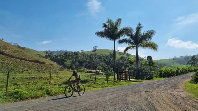 sebrae-minas_9ca0b2b3
