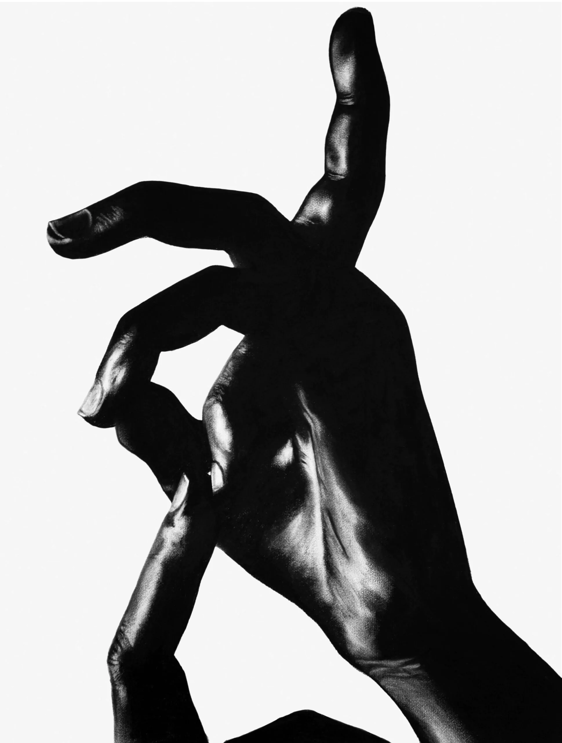 Bara-160—Foto–Anna-Carolina-Bueno