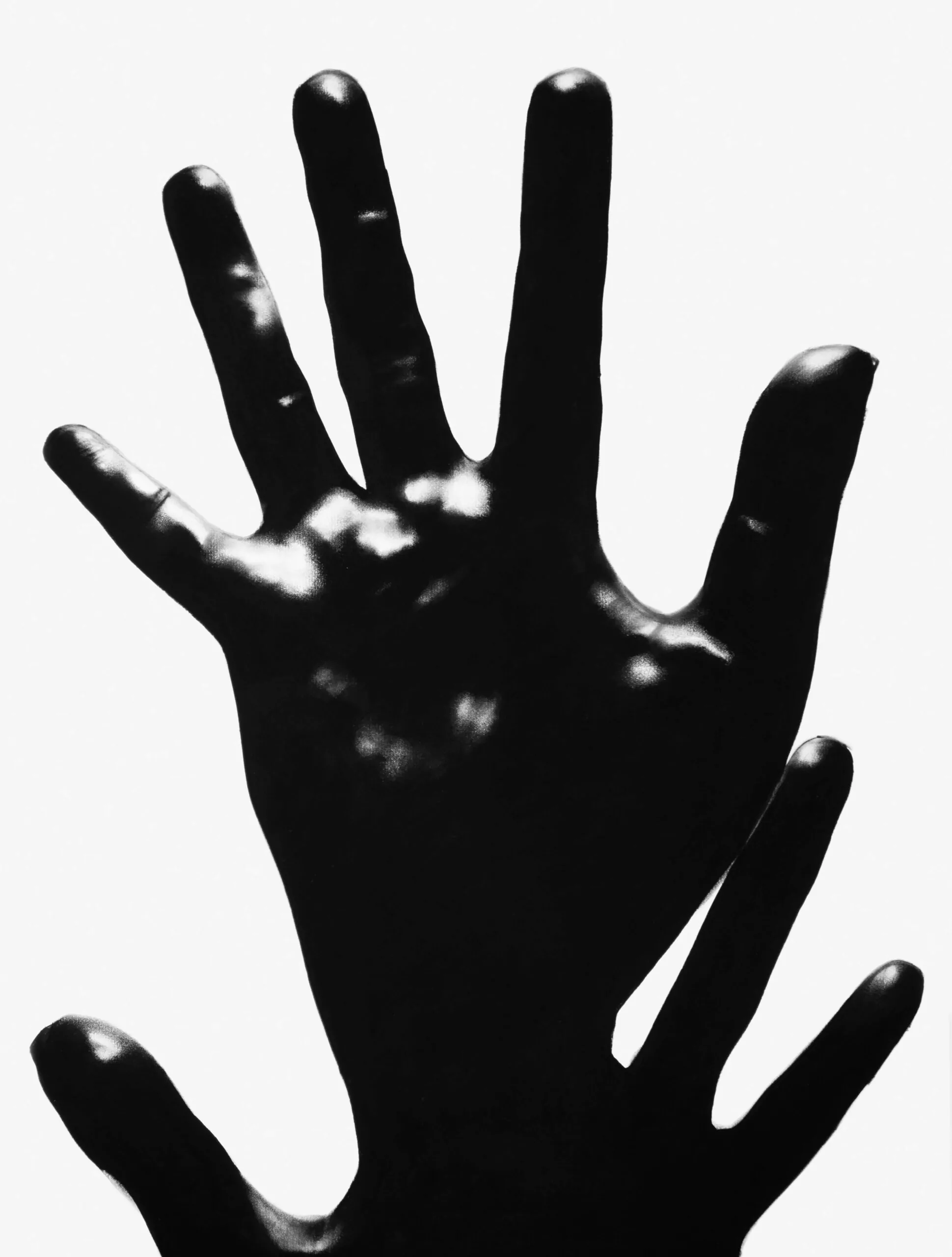 Bara-172—Foto–Anna-Carolina-Bueno