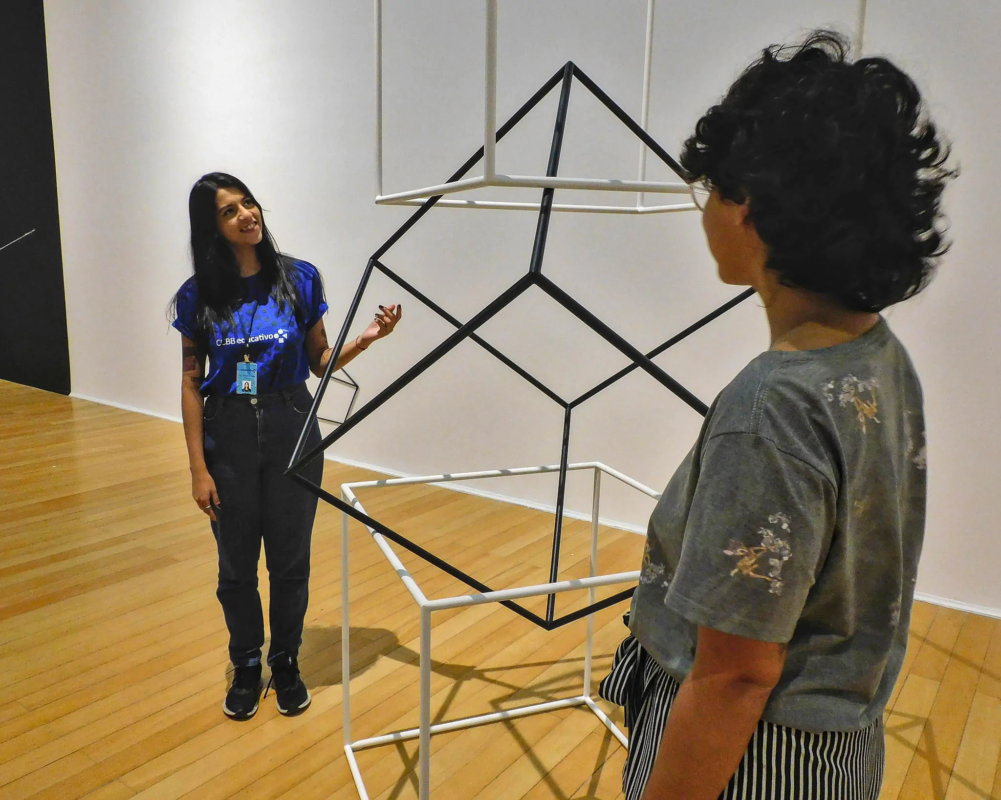 CCBB Educativo. Léo Braga-13 (1)