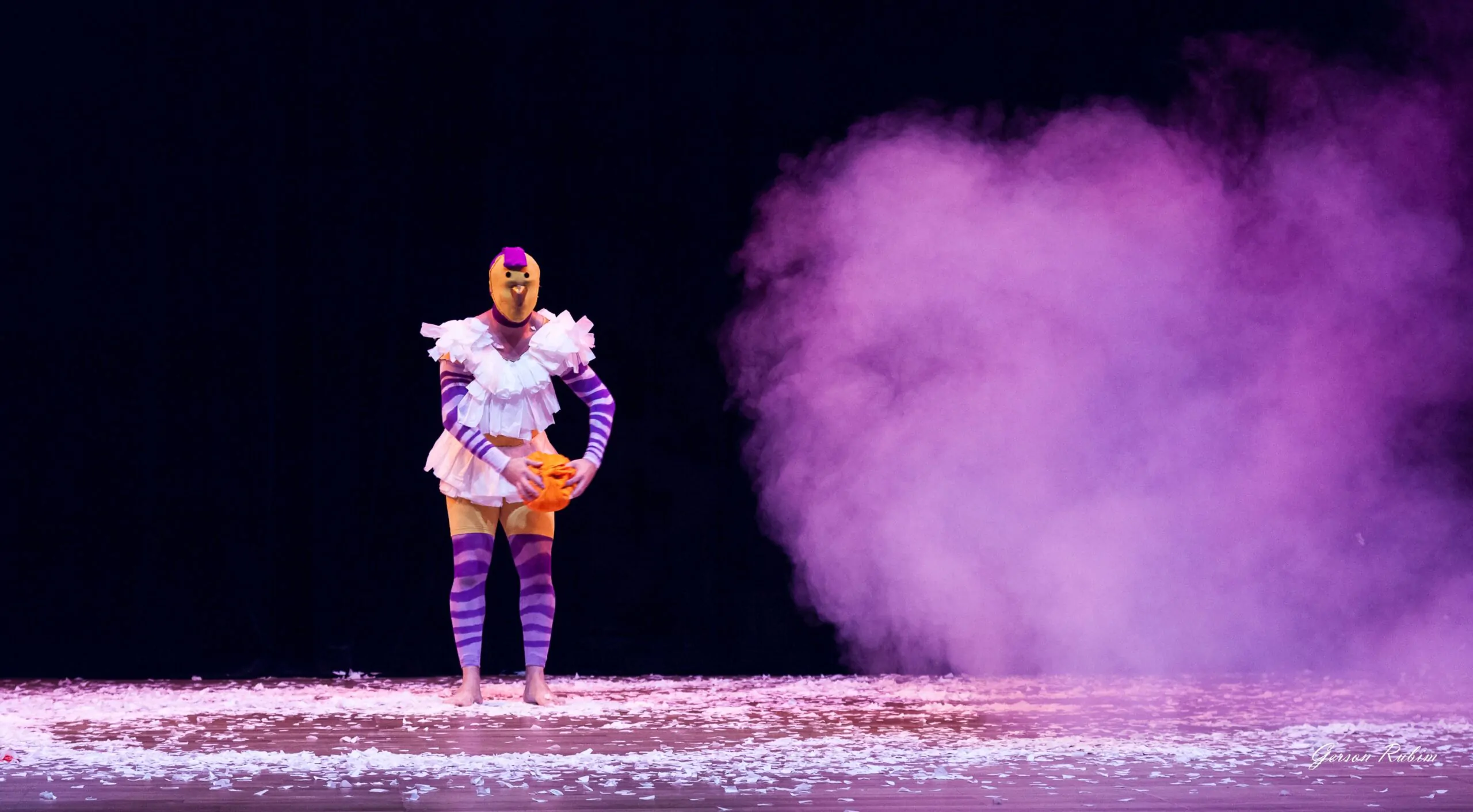 Fiu Fiu – Um encontro entre pássaros – Foto Gerson Rubim (32)