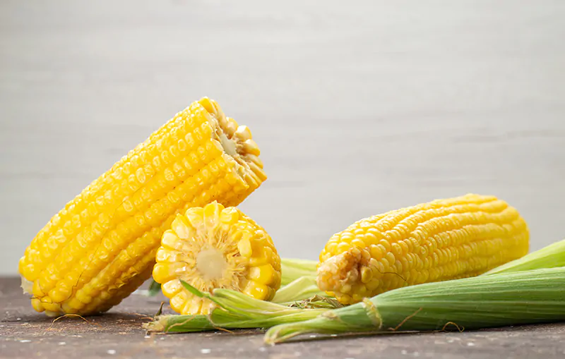 Milho se destaca nos festejos juninos ricas em calorias