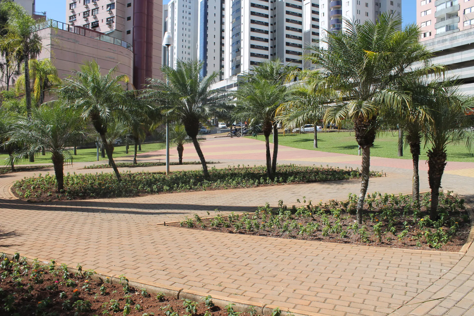 Fertilizante-produzido-atraves-do-lixo-organico-do-shopping-e-usado-nos-jardins-do-entorno-do-mall---Credito-Carol-Reis