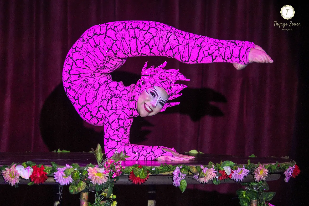CIRCO DOS SONHOS NO MUNDO DA FANTASIA - CRÉDITO DE WESLLEY RODRIGUES (2)