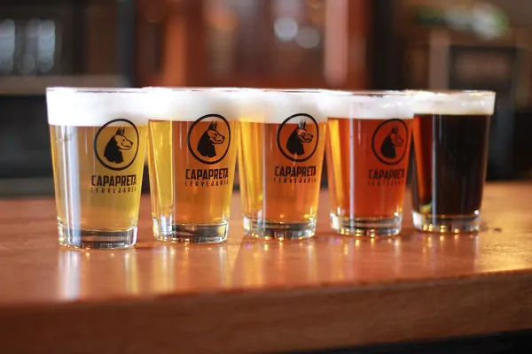 Capapreta_CredLarissaSantiago2