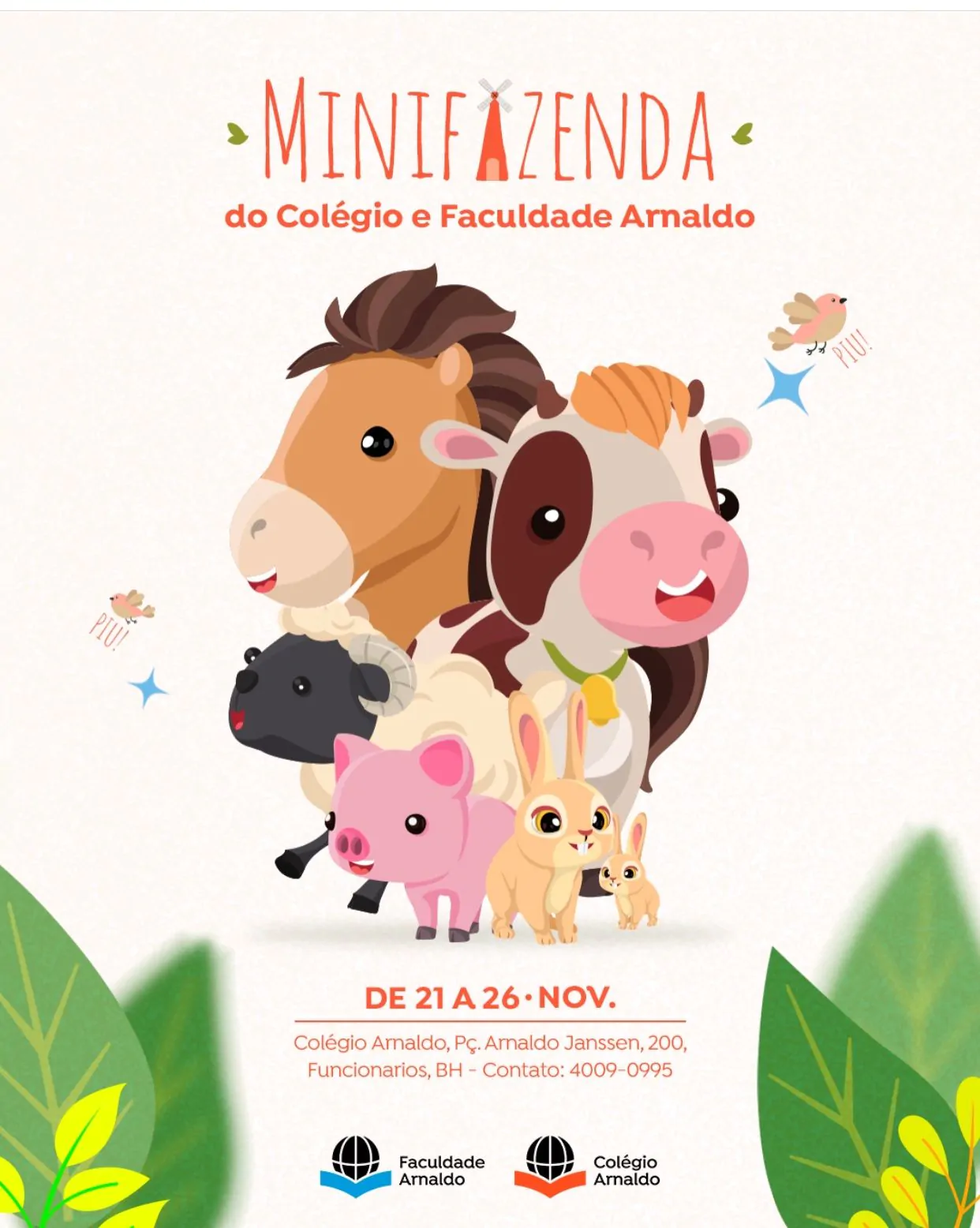 WhatsApp Image 2023-11-17 at 19.03.44