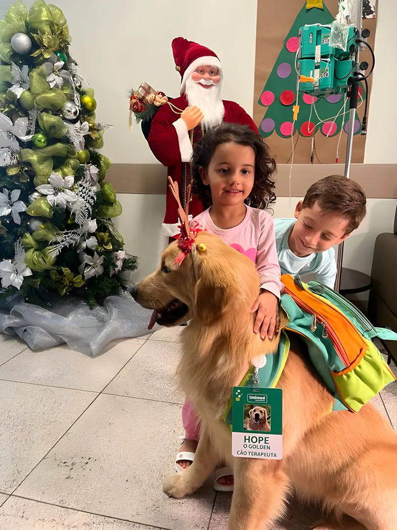 Cão Hope visita Hospital São Camilo - Crédito Divulgacao