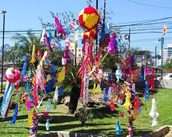 Crédito Consulado Honorário do Japão em BH Divulgação (4)