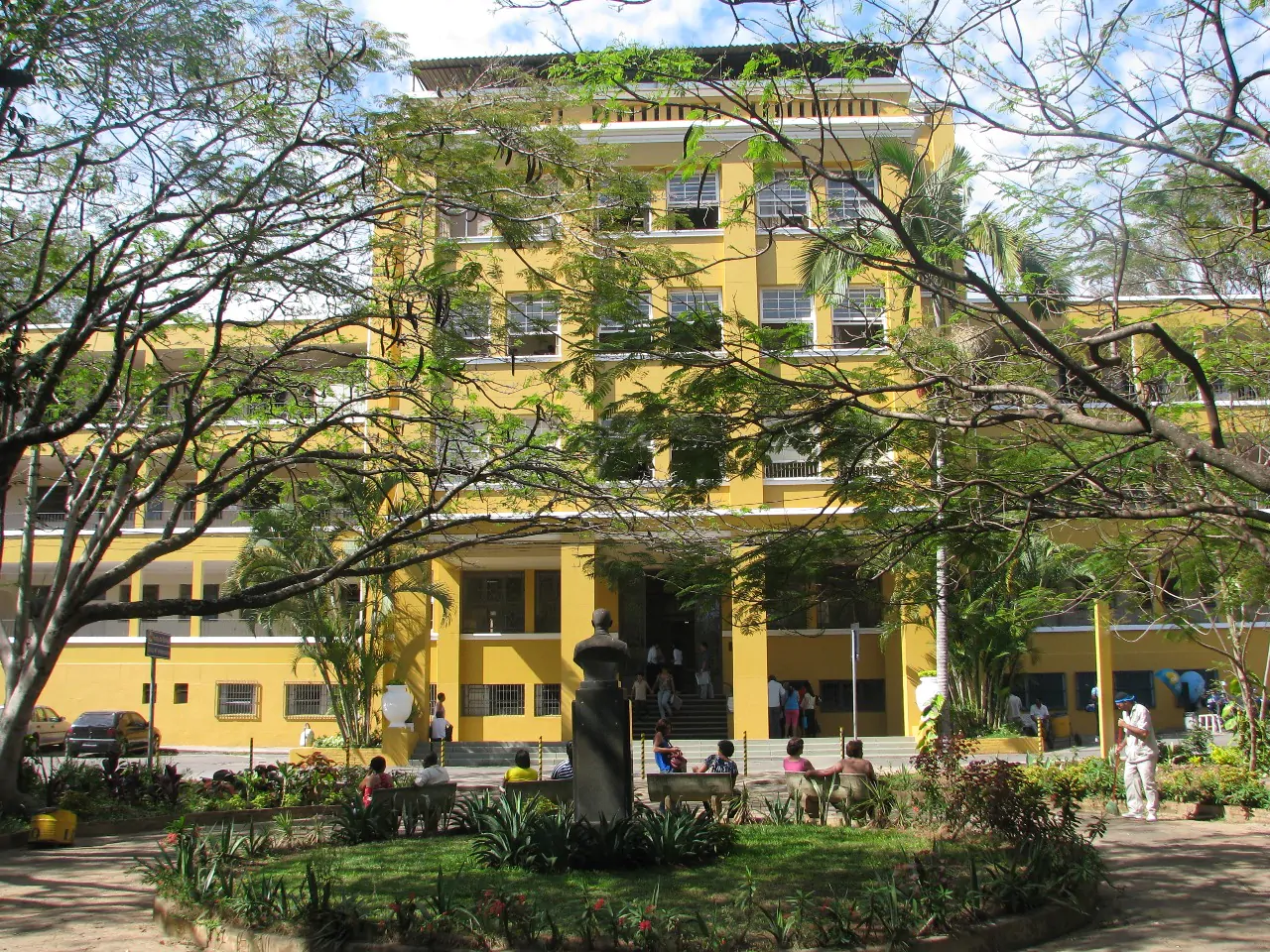 Hospital da Baleia - Baleia Imagens (1)