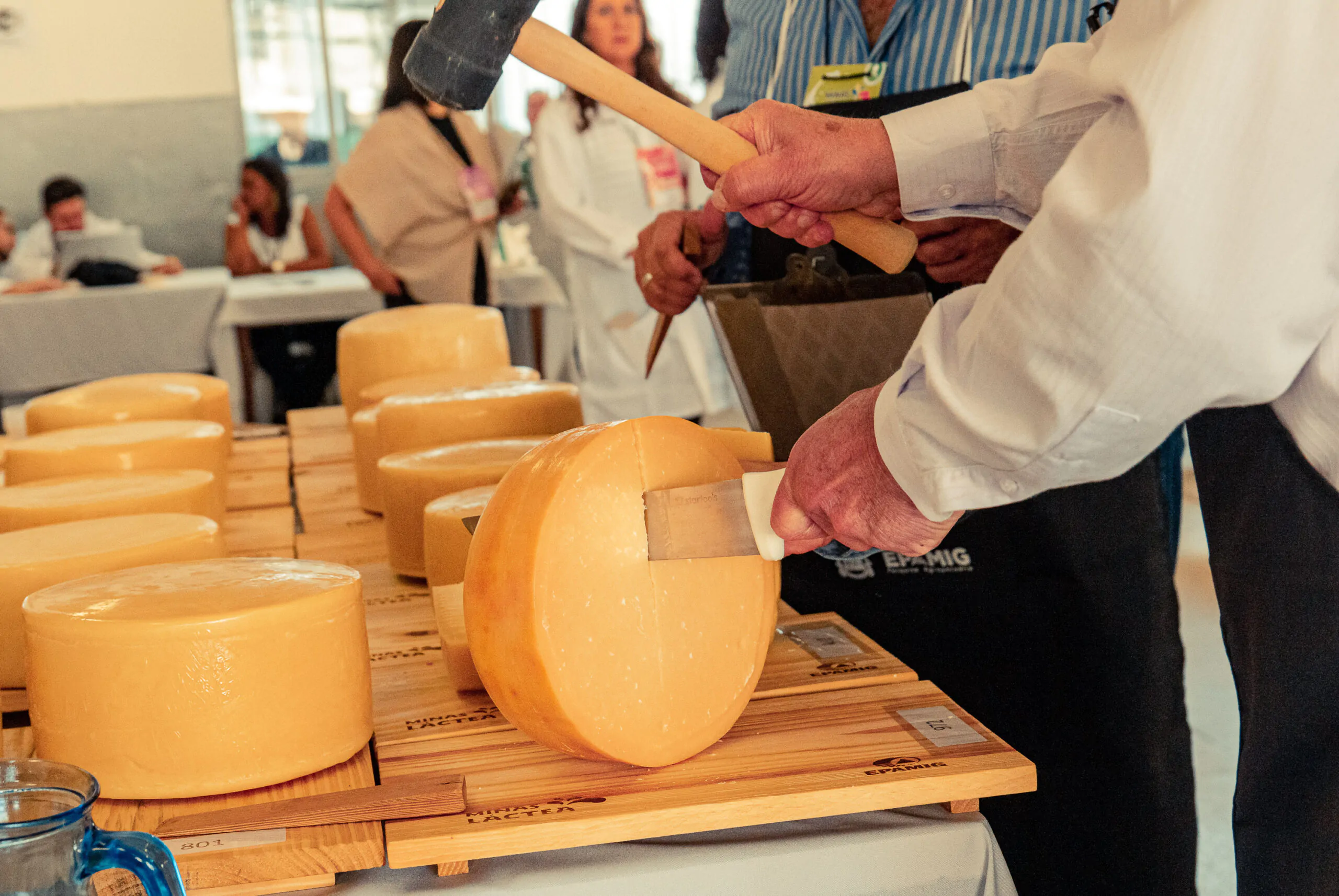 MANHA_INSTITUTO-2 (1) Ricardo Almeida / Stage Comunicação