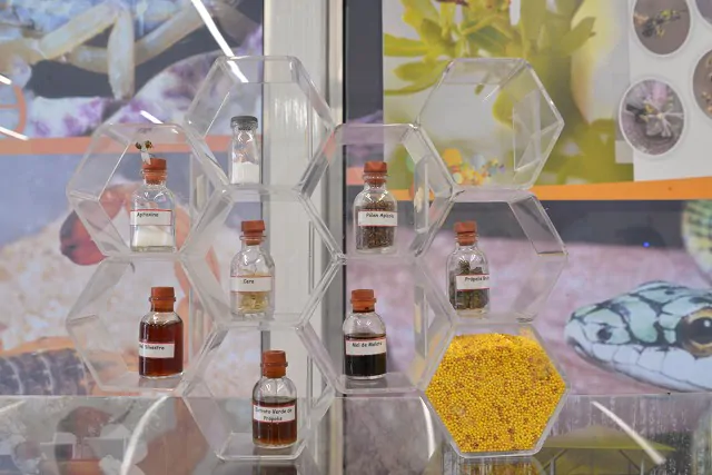 1480632 (1) Clarissa Barçante