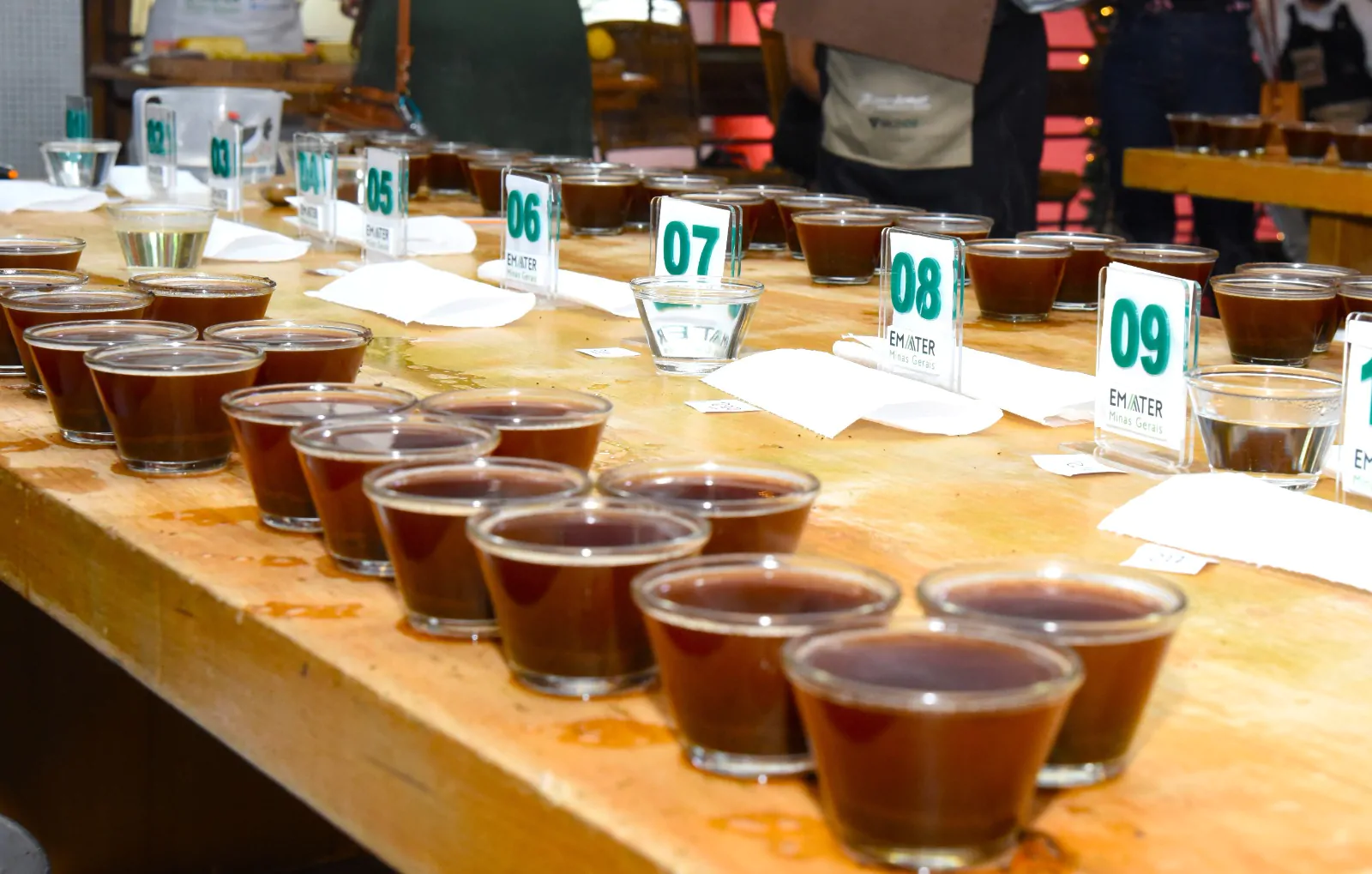 Emater-MG / Divulgação