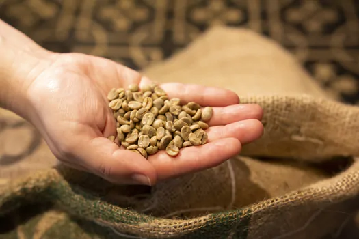 CaféEspecial4_LeoHomssi