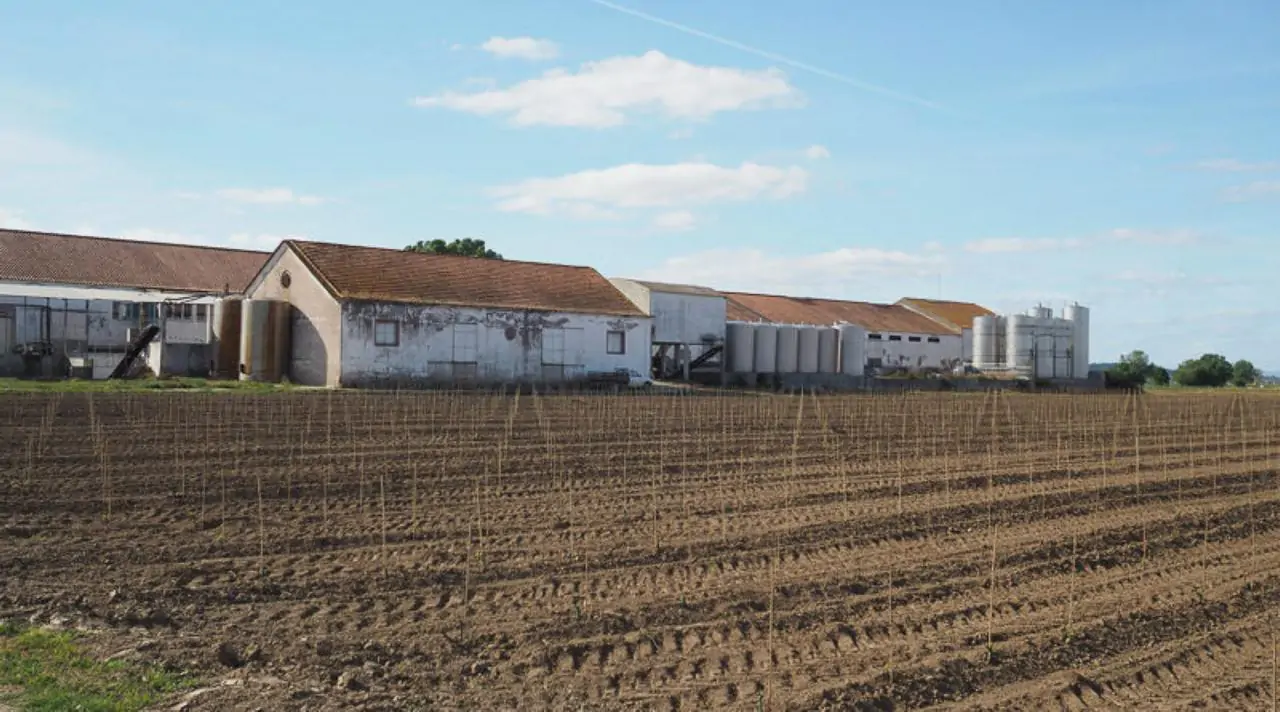 WhatsApp Image 2024-10-31 at 08.05.45