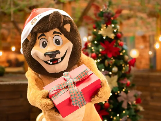 Novidades de dezembro - Divulgação 1