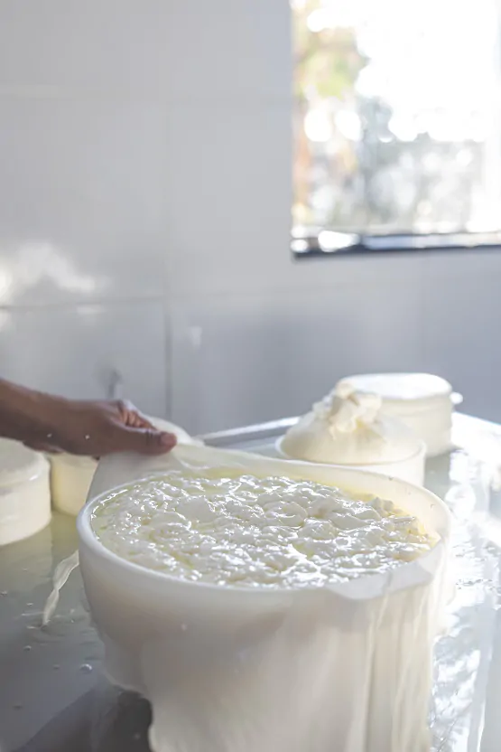 queijo artesanal-7487