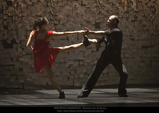 Pretérito Imperfeito_1541_20141026_0925 (Conflito de codificação Unicode)