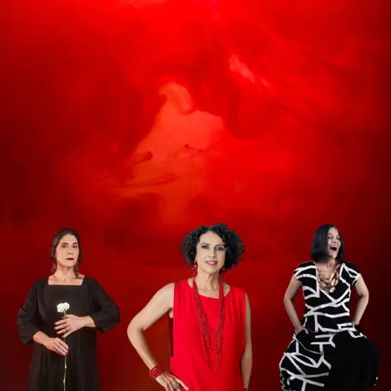 foto-cantoras - montagem Paloma Parentoni