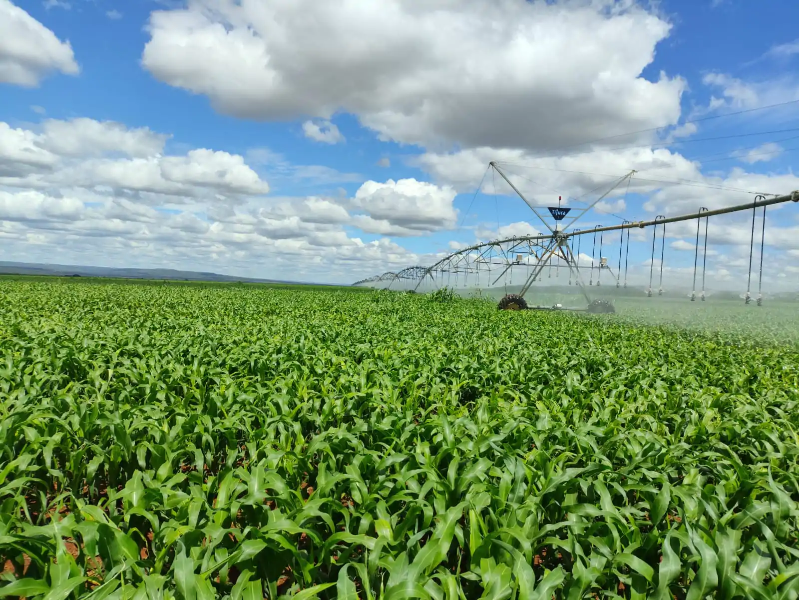 Imagem do WhatsApp de 2025-05-07 à(s) 11.34.42_3213f253