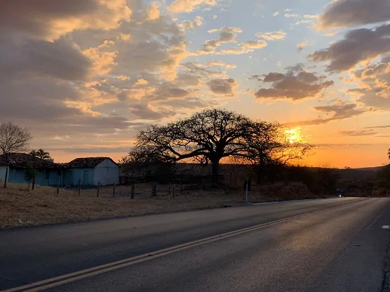 WhatsApp Image 2022-08-01 at 20.39.20