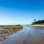 Gal.Isabela 25/09/14