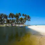 Gal.Isabela 25/09/14