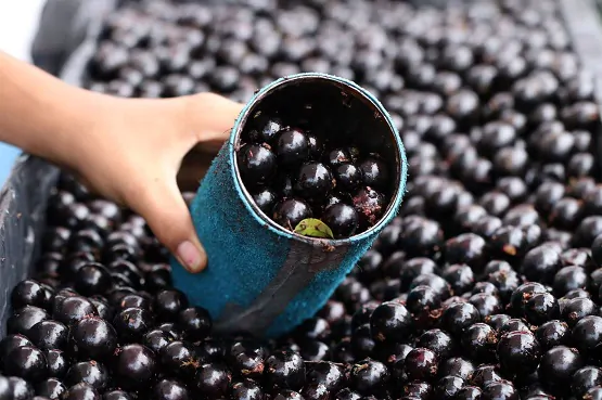 Créditos Prefeitura Municipal de Sabará-MG (4)