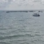 WhatsApp Image 2025-12-07 at 08.06.36