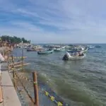 WhatsApp Image 2025-12-07 at 08.08.43