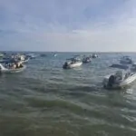 WhatsApp Image 2025-12-07 at 08.09.02 (2)